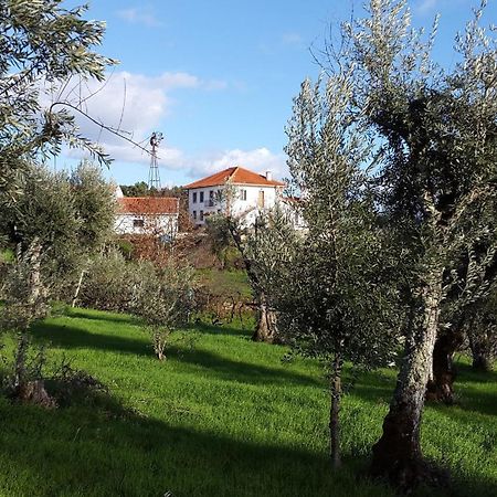 Quinta Quatro Ventos Bed and Breakfast Sertã Εξωτερικό φωτογραφία