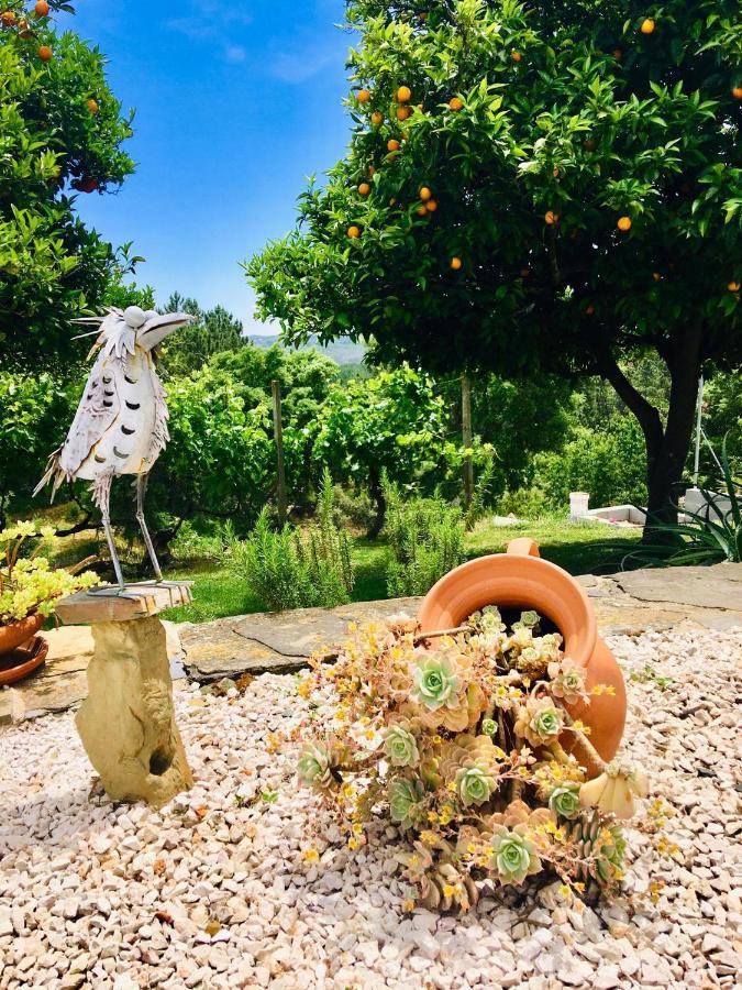 Quinta Quatro Ventos Bed and Breakfast Sertã Εξωτερικό φωτογραφία