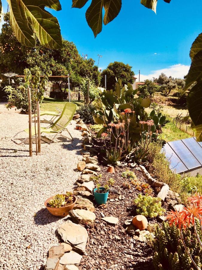 Quinta Quatro Ventos Bed and Breakfast Sertã Εξωτερικό φωτογραφία