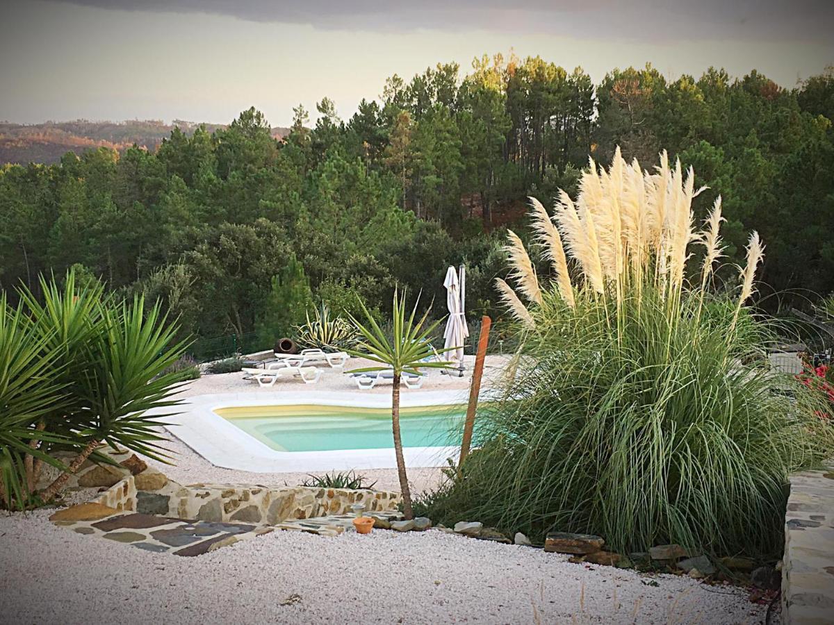 Quinta Quatro Ventos Bed and Breakfast Sertã Εξωτερικό φωτογραφία