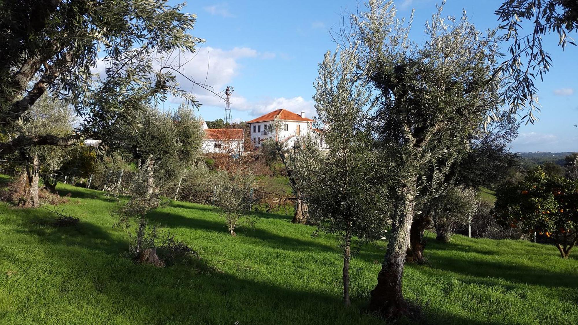 Quinta Quatro Ventos Bed and Breakfast Sertã Εξωτερικό φωτογραφία