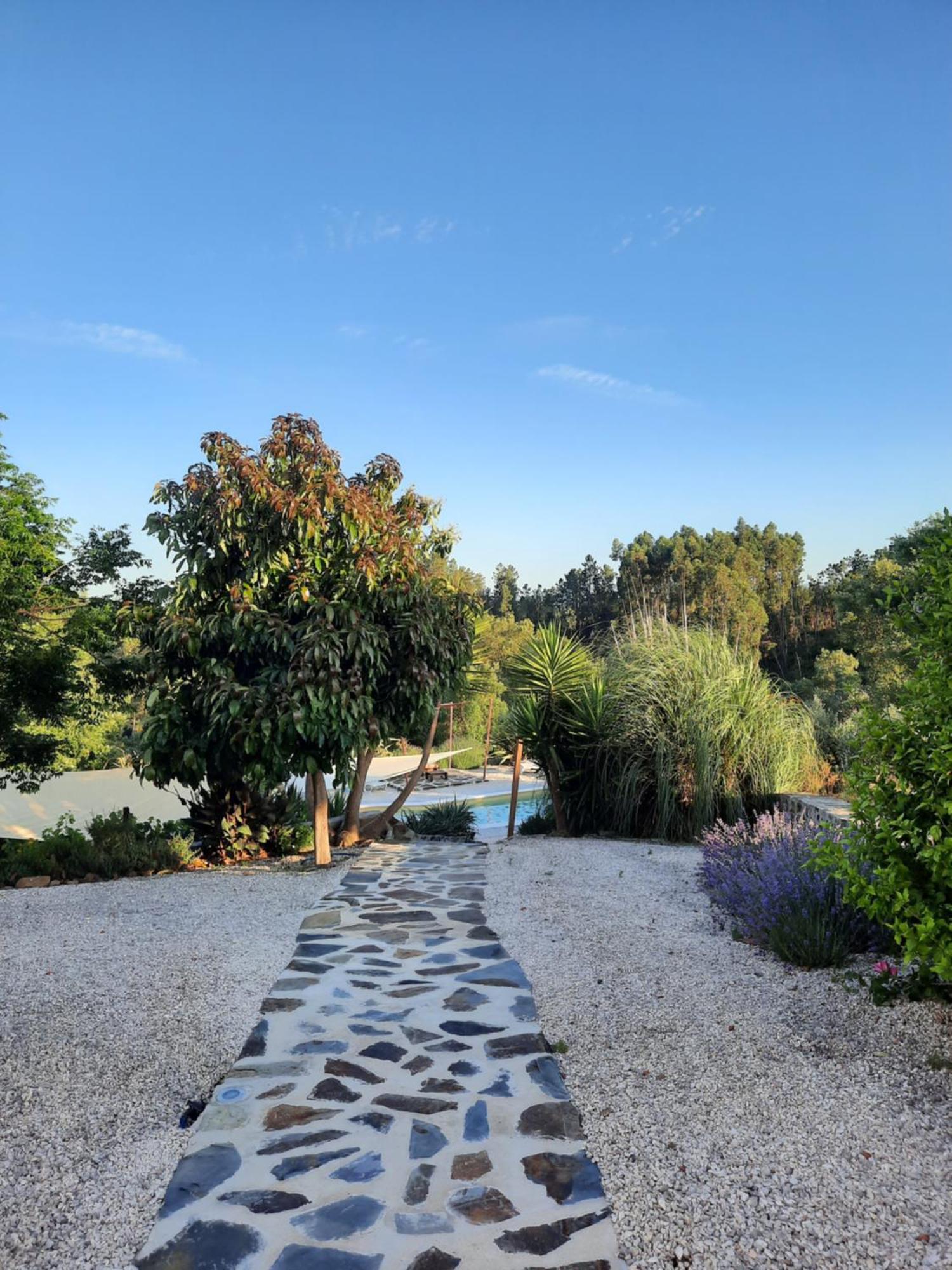 Quinta Quatro Ventos Bed and Breakfast Sertã Εξωτερικό φωτογραφία